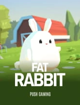 Fat Rabbit  -  